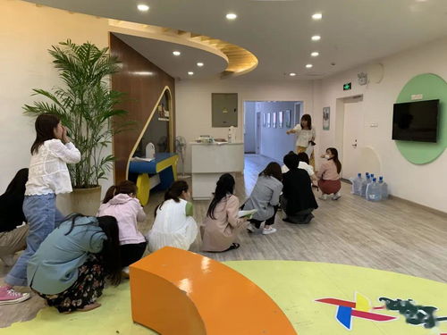 陽光伙伴藝術(shù)團(tuán)順利通過校外培訓(xùn)機(jī)構(gòu)復(fù)訓(xùn)核驗(yàn)，開啟藝術(shù)培訓(xùn)新篇章