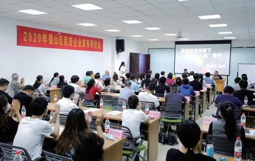 蜀山破局新生 七項(xiàng)經(jīng)濟(jì)指標(biāo)領(lǐng)跑合肥城區(qū)，藝術(shù)培訓(xùn)產(chǎn)業(yè)成新增長極